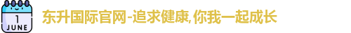 东升国际